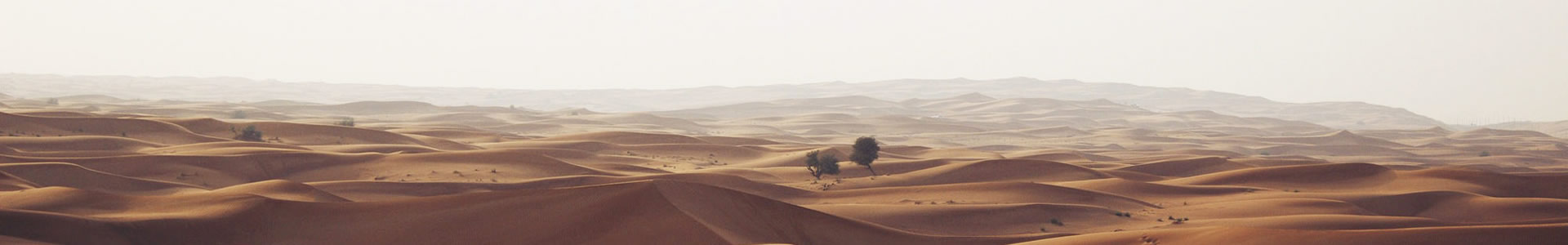 ֮װʽ޹˾